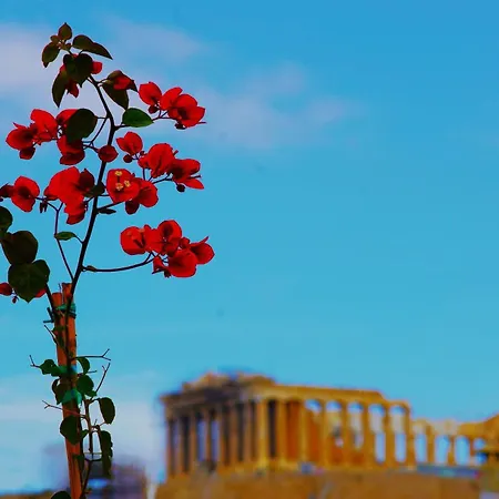 Aparthotel Absolute Acropolis View Athens